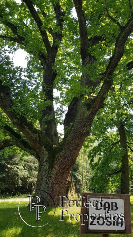 Działka Sprzedaż Łucznica 8
